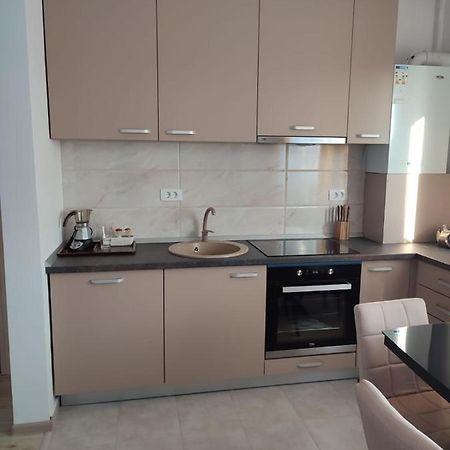 Marina'S House Apartment Ghimbav Ngoại thất bức ảnh