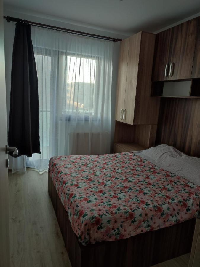 Marina'S House Apartment Ghimbav Ngoại thất bức ảnh